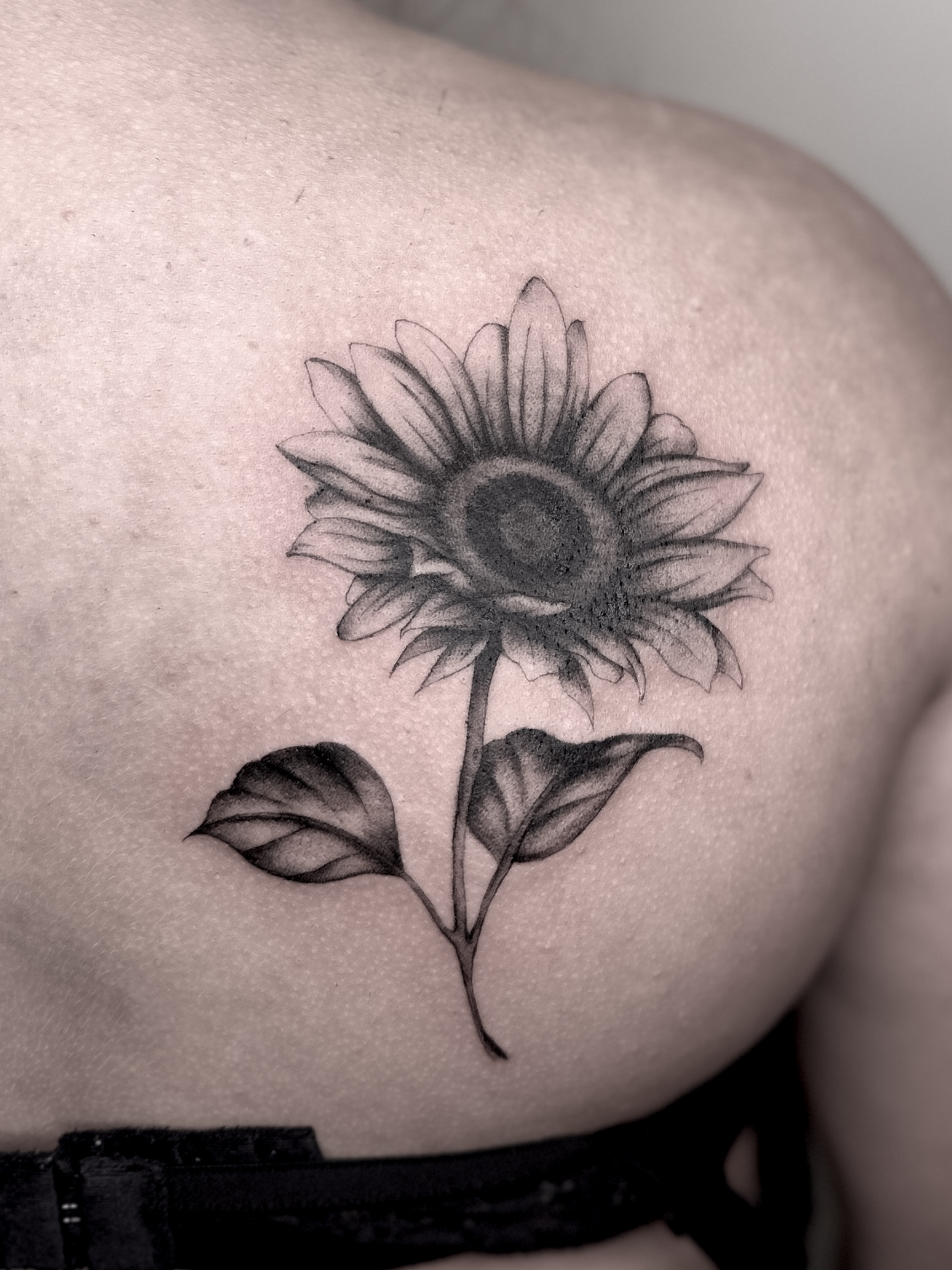 Lavoro Bad Ink 23